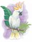 Tropical Flair III Poster Print by Mary Urban - Item # VARPDX33598HR